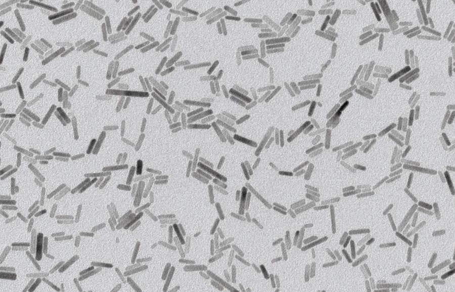 Nanopałeczki tlenku cynku zsyntetyzowane w Laboratoire de Chimie de Coordination w Tuluzie.
