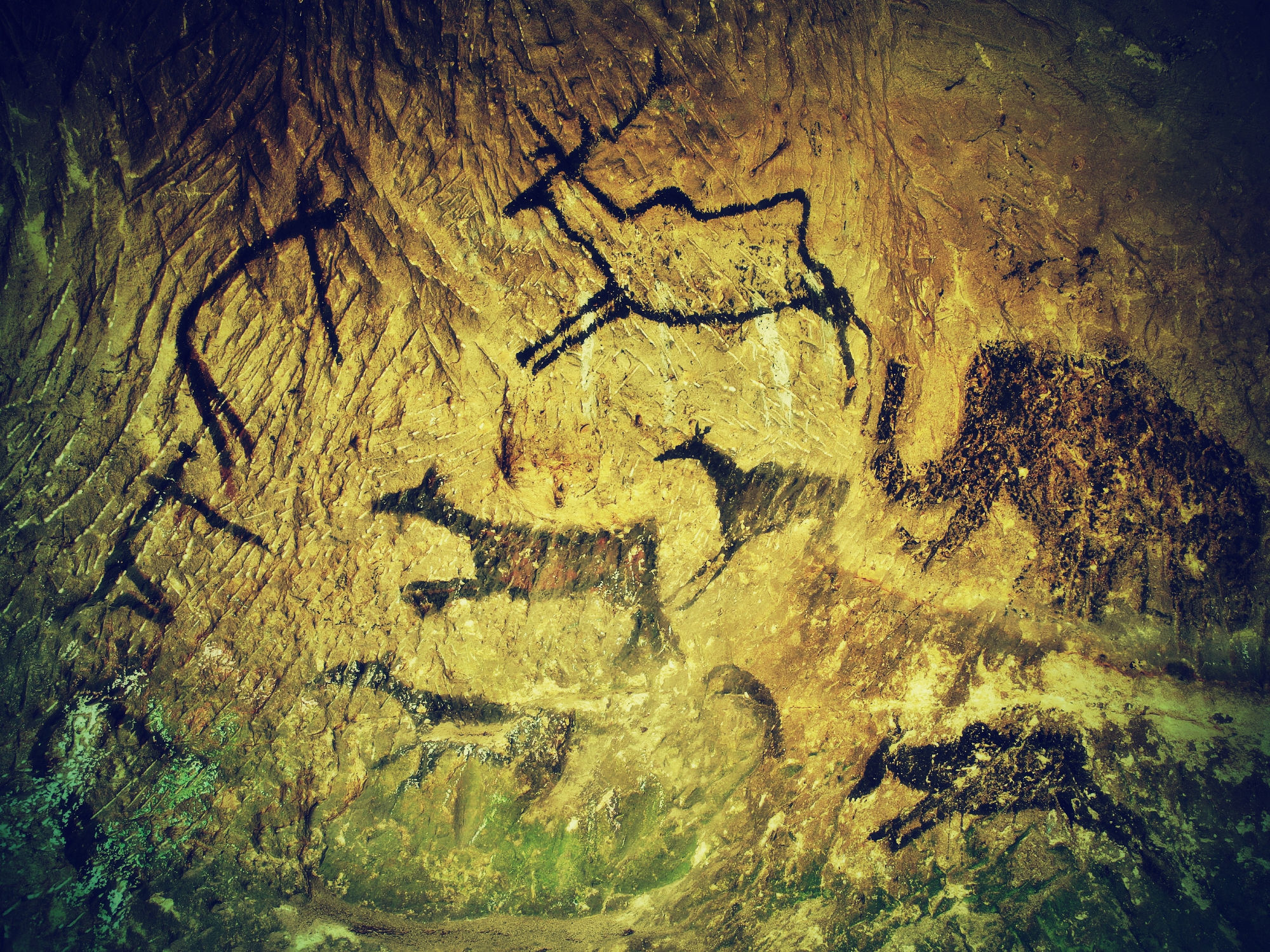 Polowanie Z Nagonką Na Grubego Zwierza Neandertalczycy skrzykiwali się, gdy szli na grubego zwierza - Pulsar