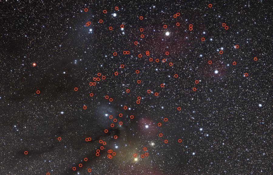 Położenie 115 potencjalnych samotnych planet, zaznaczonych czerwonymi kółkami, odkrytych w 2021 r. przez zespół astronomów w obszarze nieba zajmowanym przez konstelacje Skorpiona i Wężownika.