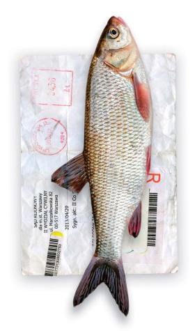 W sklepie rybnym w Chorzowie można nie tylko kupić dorsza, ale od kilku tygodni odebrać także korespondencję z sądu albo prokuratury.