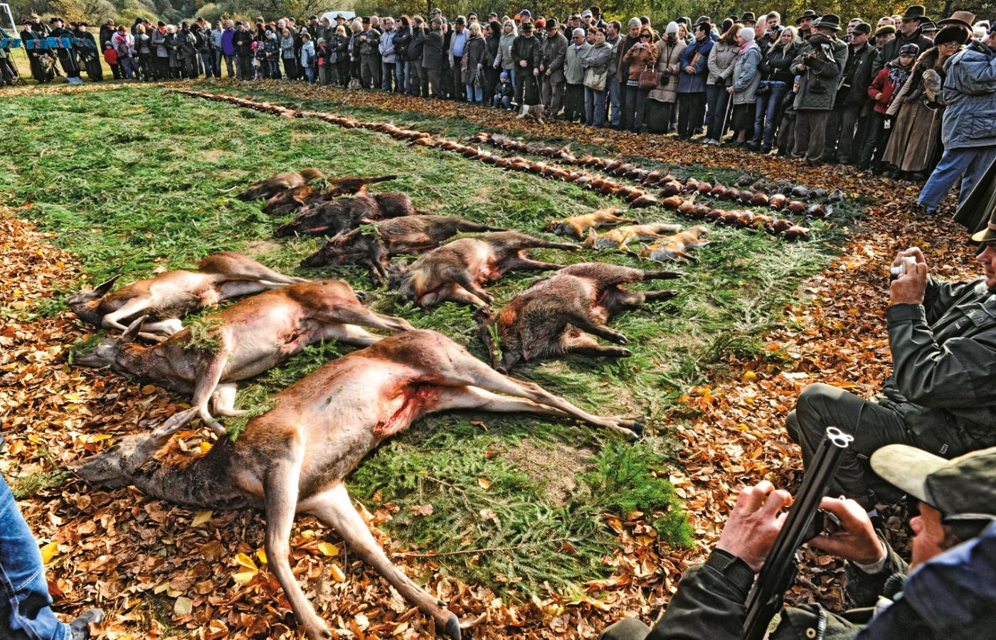 Zezwolenie na udział dzieci w polowaniach byłoby cywilizacyjnym regresem – uważa Radosław Ślusarczyk z Pracowni na rzecz Wszystkich Istot.