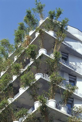 Fragment kwiatowego wieżowca.