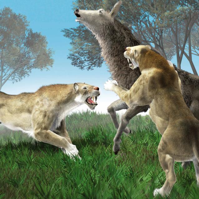 Scena z końcówki epoki lodowcowej w Eurazji: przedstawiciele rodzaju Homotherium (ok. 190 kg) polują na samicę jelenia olbrzymiego (ponad 2 m w kłębie).