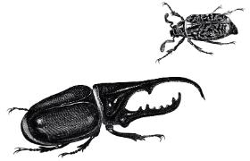 W obliczu znanych już zagrożeń ludzie muszą po prostu się posunąć, pozostawiając na znacznych obszarach przyrodzie czas na wytchnienie i regenerację.