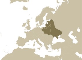 „Bloodlands” (ziemie przesiąknięte krwią) według Snydera.