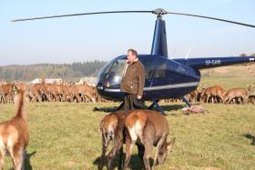 Jerzy Wilczewski hoduje 1300 jeleni. Gospodarstwo nadzoruje z helikoptera.