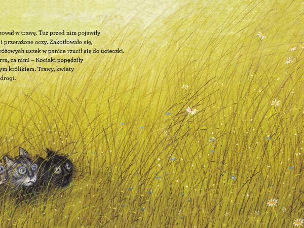 Okładka książki „Kocie ścieżki”