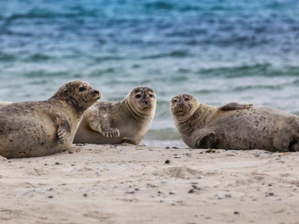 Zadbajmy o nasze plaże – dla dobra wszystkich