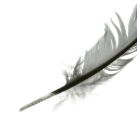 Jak twierdzi amerykański socjolog edukacji prof. Robert Havinghurst, poznanie przeszłości ma dla człowieka największe znaczenie w okresie dorastania.
