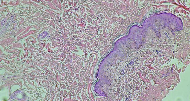 Pulsar - wyjątkowy portal naukowy.