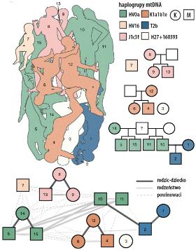 Schemat ułożenia ciał i drzewa genealogiczne obrazujące pokrewieństwo między pochowanymi osobami ustalone na podstawie danych genetycznych. Poniżej: Związki między zmarłymi