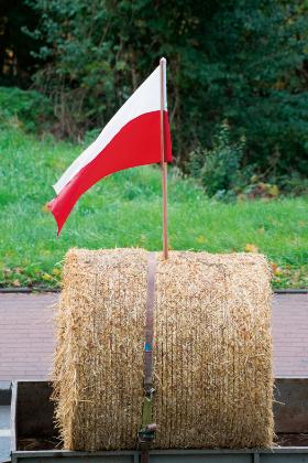 Ceny pszenicy paszowej sięgnęły dna, za tonę można dostać nie więcej jak 650 zł.