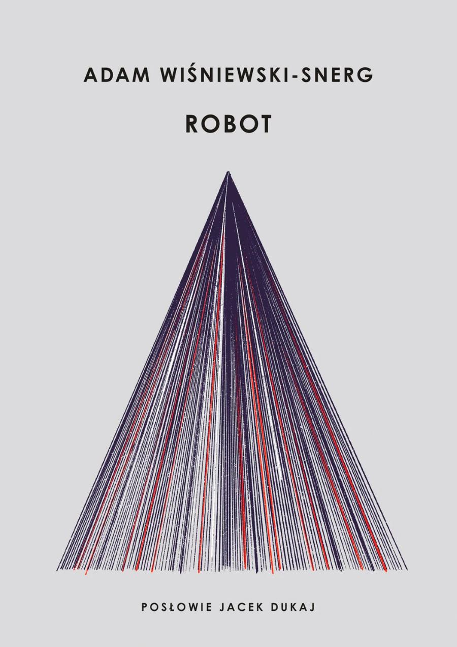 Adam Wiśniewski-Snerg, „Robot”