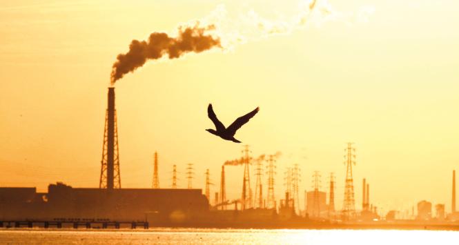 Pulsar - wyjątkowy portal naukowy.