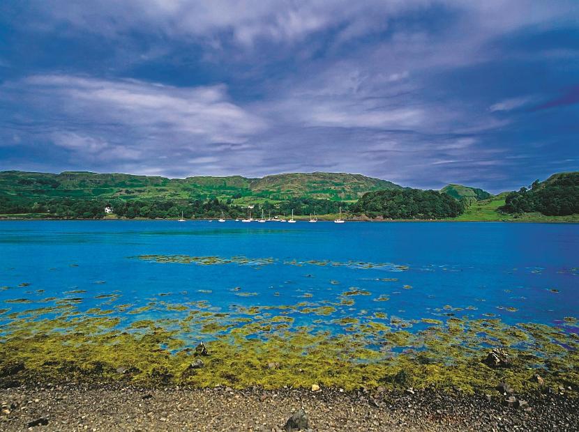 Loch Craignish – jezioro morskie na zachodnim wybrzeżu Szkocji. Trwają tu prace nad odtworzeniem bujnych niegdyś podwodnych łąk.