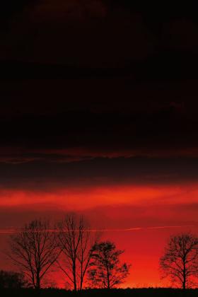 Pożar z 2020 r. opanował ponad 5 tys. hektarów.