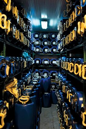 Wnętrze beskidzkiej arki Noego – Karpackiego Banku Genów, gdzie w temperaturze –20 stopni nasiona można przechowywać nawet 20 lat.