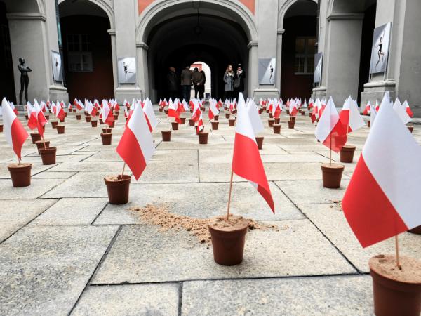 Polskie flagi w doniczkach