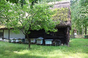Ochla, pasieka w skansenie