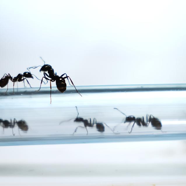 Pulsar - wyjątkowy portal naukowy.