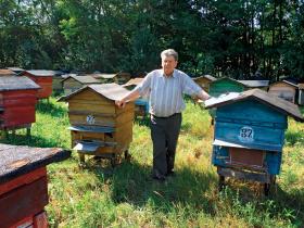 Mieczysław Jamróz, mistrz pszczelarski