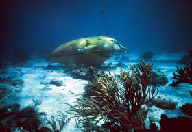 Badania dna morskiego. Szacuje się, że ponad 90 proc. gatunków wodnych jeszcze nie zostało odkrytych.