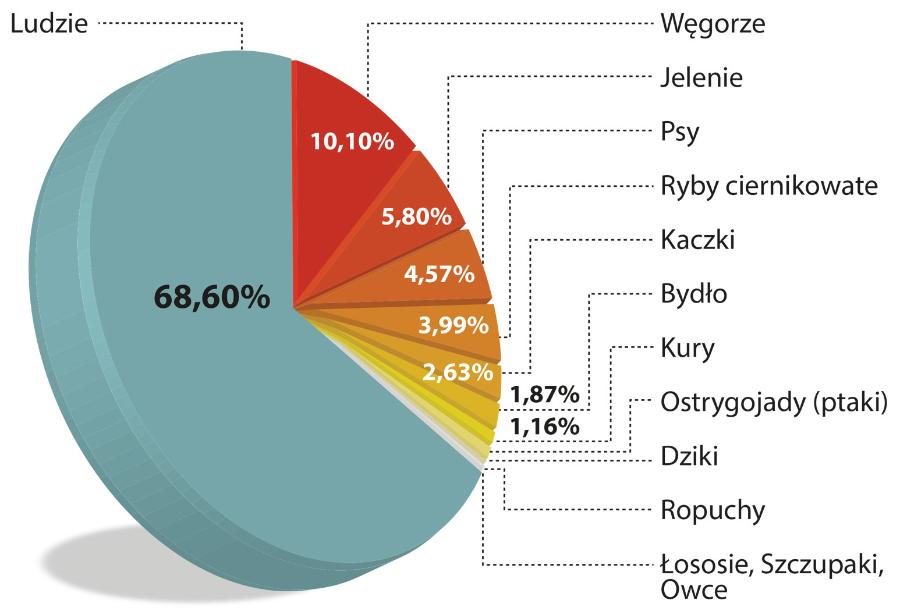 Przynależność DNA ustalona na podstawie analizy próbek z Loch Ness.