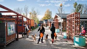 Schroniskowe psy bardzo czekają na wyjście z klatki.