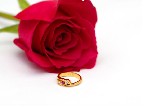 Po ogłoszeniu wyroku starszy pan wyciągnął spod ławy czerwone róże i powiększony w obwodzie zaręczynowy pierścionek z kamieniem pustyni, prosząc o jej spracowaną dłoń.