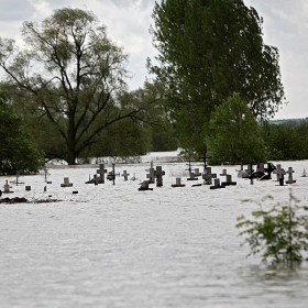 Zatopiony cmentarz w Nowym Wionczeninie koło Płocka, 24.05.2010