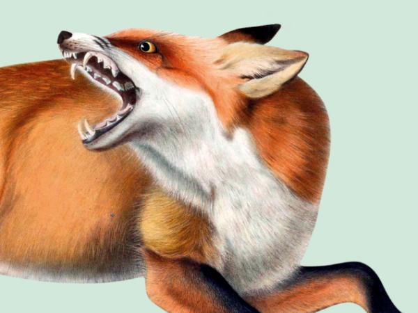 Fragment okładki „Łakome” Małgorzaty Lebdy