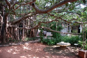 Dla niektórych dzieci Auroville zderzenie ze „światem zewnętrznym” było wstrząsającym przeżyciem.