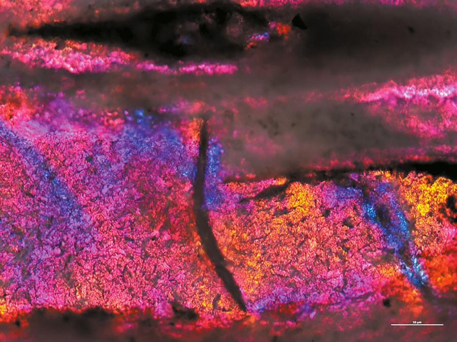 Z “Blood Parasites and Acute Osteomyelitis in a Non-avian Dinosaur (Sauropoda , Titanosauria) from the Upper Cretaceous Adamantina Formation, Bauru Basin, Southeast Brazil”, Tito Aureliano i in., Cretaceous Research, tom 118; luty 2021