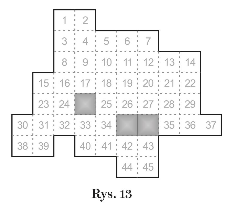Rys. 13