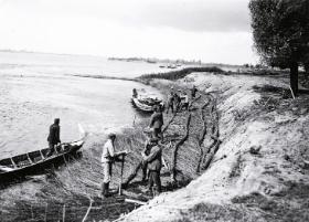Robotnicy przy umacnianiu brzegów Wisły faszyną, 1927 r.