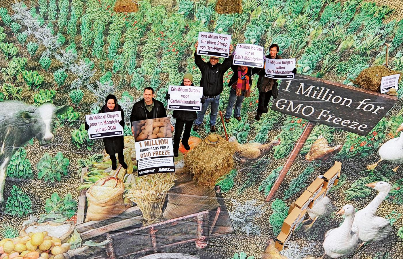 Protest Greenpeace przeciw organizmom genetycznie modyfikowanym, zorganizowany w Brukseli.