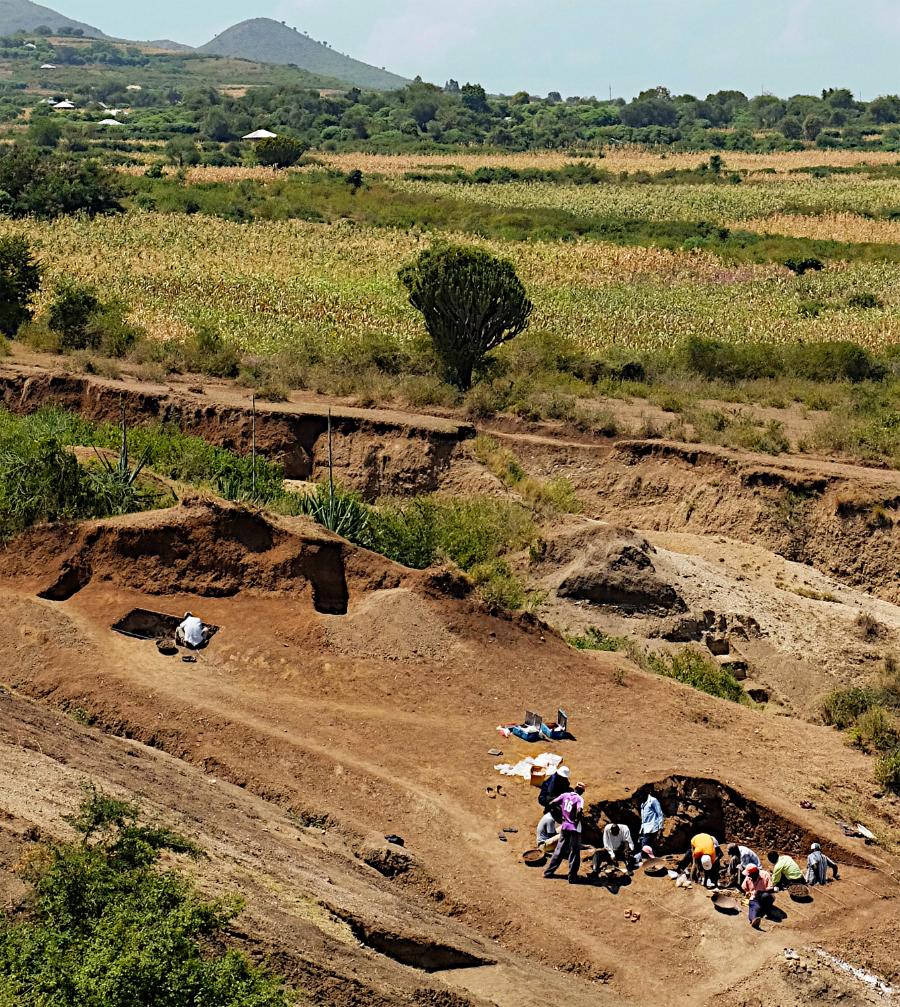 Wykopaliska na stanowisku Nyayanga w lipcu 2016 r.