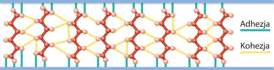 Siły adhezji i kohezji działające pomiędzy dwoma klejonymi elementami.