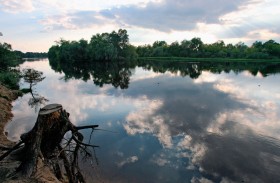 Narew pod Ostrokołem. Autor do dziś chętnie pływa w tej rzece podczas letniego odpoczynku