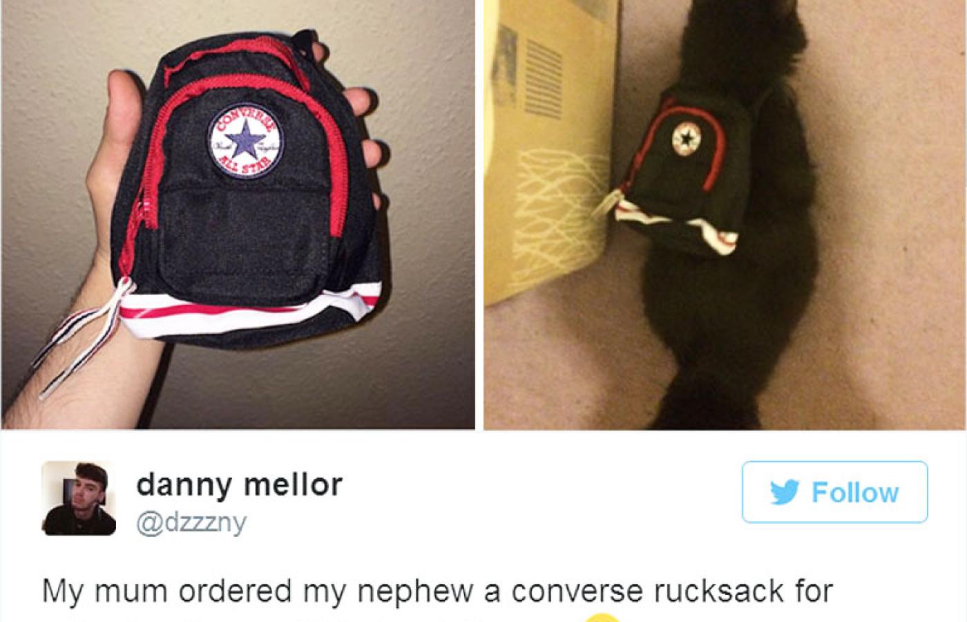 „Mama zamówiła mojemu bratankowi plecak do szkoły i oto co do niej przysłano” – opowiada Danny. Jego mama dostała plecak, który może nosić... kot.