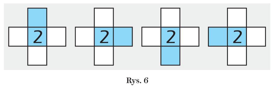 Rys.6