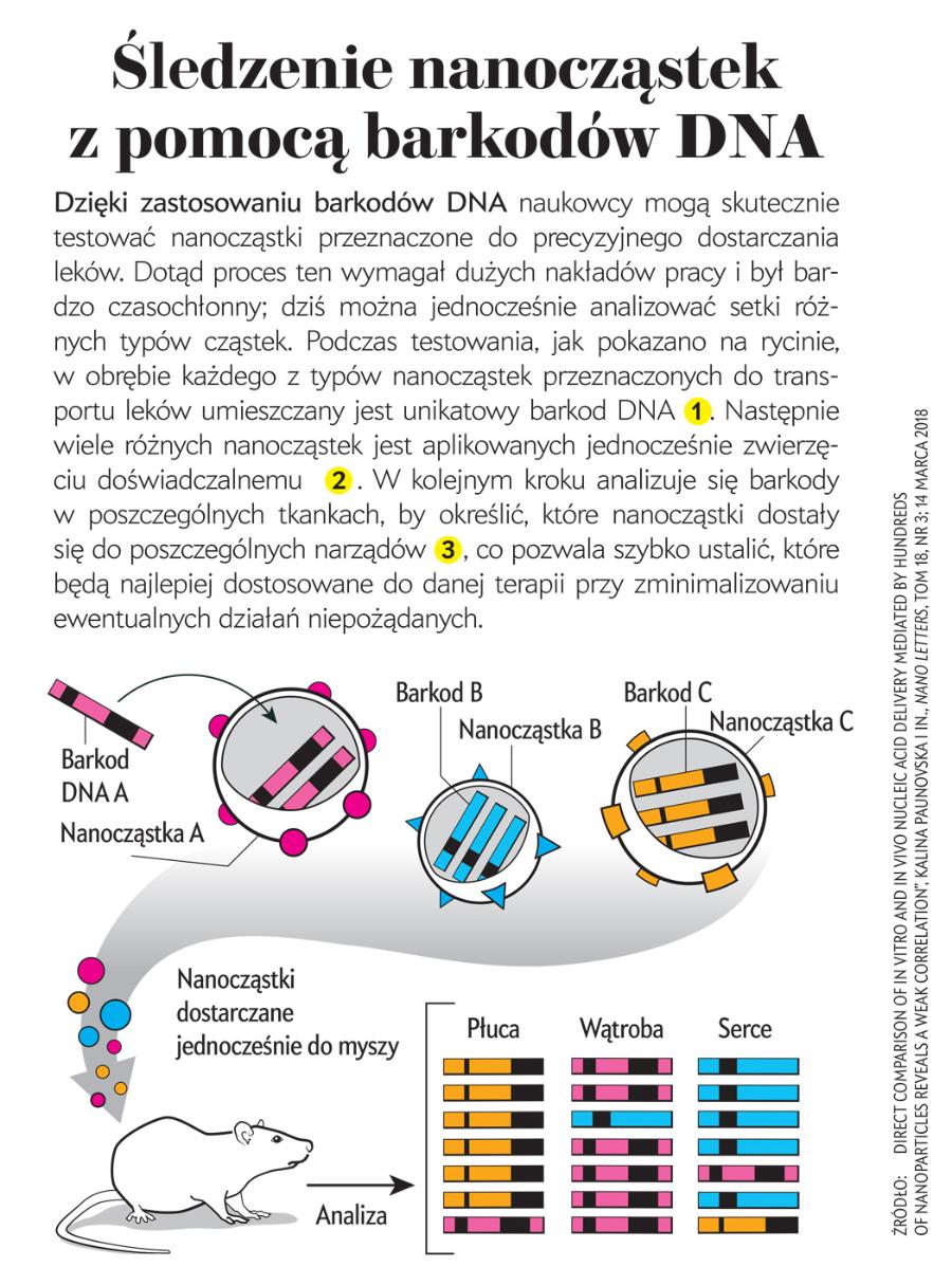 Śledzenie nanocząstek z pomocą barkodów DNA