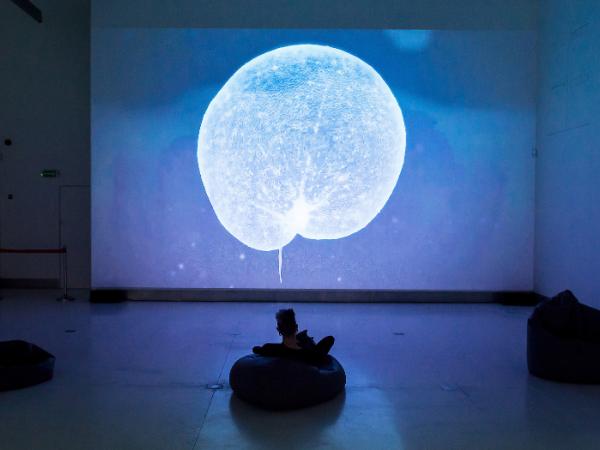 „Noise Aquarium”