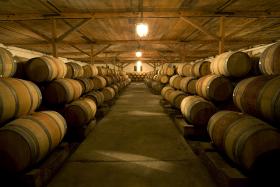 Picie wina, o którym wiemy, że jest drogie, silniej pobudza ośrodki przyjemności zlokalizowane w mózgu.