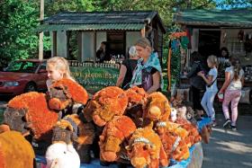 Turyści od Puszczy Białowieskiej oczekują atrakcji.