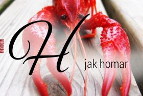 H jak homar, homarów wolna wola, na homary pułapkiHomar bardzo wyraźnie zaznacza swoją obecność w menu i to zapewne on, a nie łoś, powinien był trafić na flagę Maine. Za sprawą oświeconych działań rybacy z tego najbardziej na północ wysuniętego stanu USA złowili w zeszłym roku sześciokrotnie więcej tych stworzeń niż 30 lat temu, a wcale nie przetrzebili zasobów. Klatki służące do chwytania homarów znajdziemy na wielu wiejskich podwórkach, także u Dennetta. Pytanie brzmi: Czy, a jeśli tak, to dlaczego filozof – w którego centrum zainteresowań leżą pojęcia świadomości, wolnej woli i cierpienia – dręczy tego skorupiaka? Tym bardziej że, jak sam Dennett przyznaje: – Osobiście uważam, że homar ma swoje „ja”, swoje homarowe „ja”. Wyjaśnienie znajdziecie państwo w filmie.