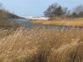Jamno jako jezioro przymorskie jest siedliskiem objętym ochroną w ramach sieci Natura 2000.