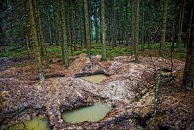 Przychodzą zwykle nocą. Pracują bez słów. Nie używają światła, żeby trudniej ich było namierzyć. Czterech ludzi na jedną jamę. Trzy godziny i jest wydrenowana. W jeden dzień mogą wykopać i pięć dziur.