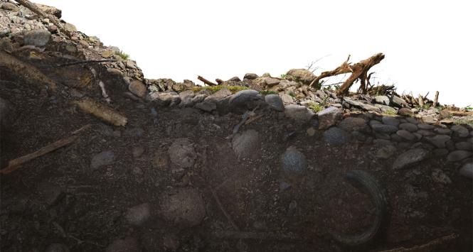 Pulsar - wyjątkowy portal naukowy.