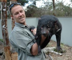 Dzisiaj, diabeł tasmański jest jednym z najczęściej badanych przez naukę zwierząt. W 1996 r. gatunek ten został zaatakowany przez tajemniczy nowotwór.